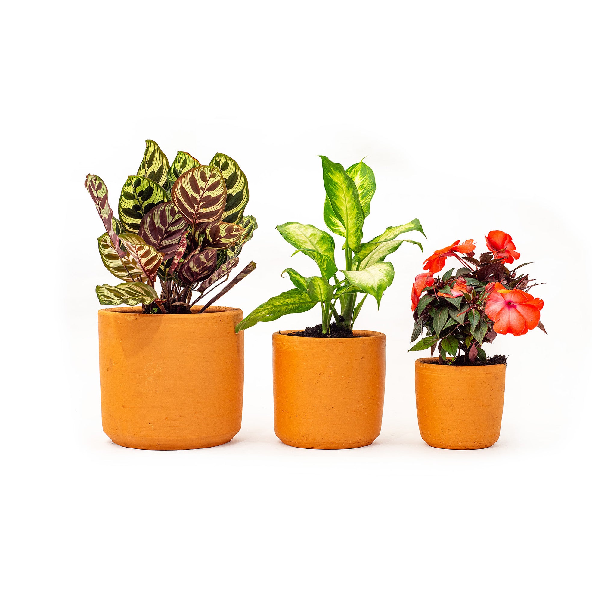 buy indoor plant pots online Hand Made Set of 3 Terracotta Plant Pots
