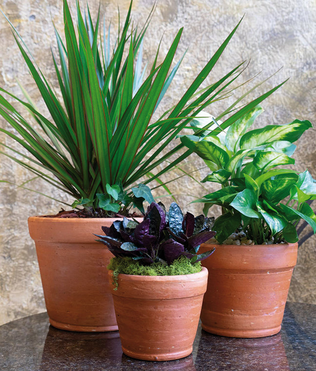 Terracotta Plant Pots - 3 Piece Shaped Flowerpots - Handmade | Artesano Home Decor